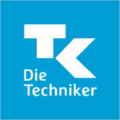 Лого Die Techniker