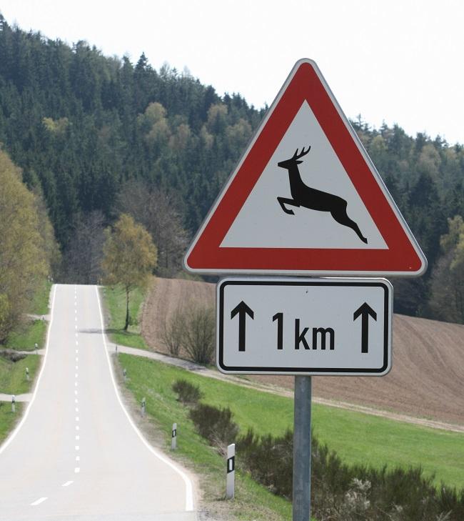 Знак опасность выхода животных на дорогу в Германии